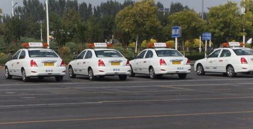 本市機動車駕駛員培訓行業信用評價體系即將全面實施，促進行業規范與服務質量提升