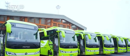 創新迭代、跨界融合與國際合作 中國新能源汽車產業海外投資勢頭強勁